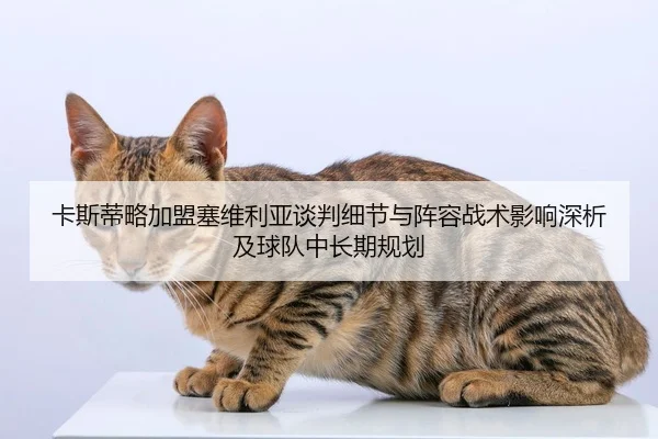 ka-si-di-lve-jia-meng-sai-wei-li-ya-tan-pan-xi-jie-yu-zhen-rong-zhan-shu-ying-xiang-shen-xi-ji-qiu-dui-zhong-chang-qi-1-369.jpg